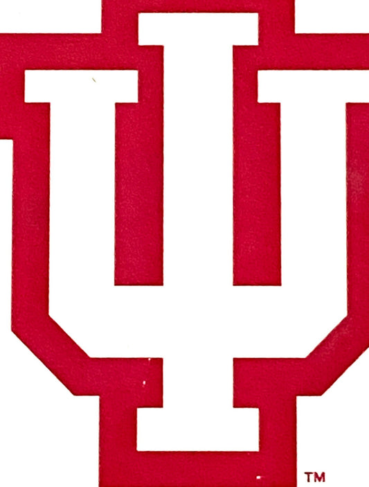 Indiana Hoosiers NCAA Solid Coaster With Logo (Used) by Indiana Hoosiers